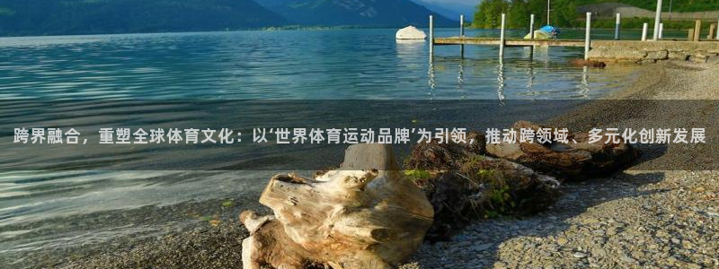 蓝鲸体育平台：跨界融合，重塑全球体育文化：以‘世界体育运动品牌’为引领，推动跨领域、多元化创新发展