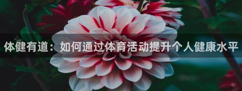 蓝鲸体育直播免费入口
