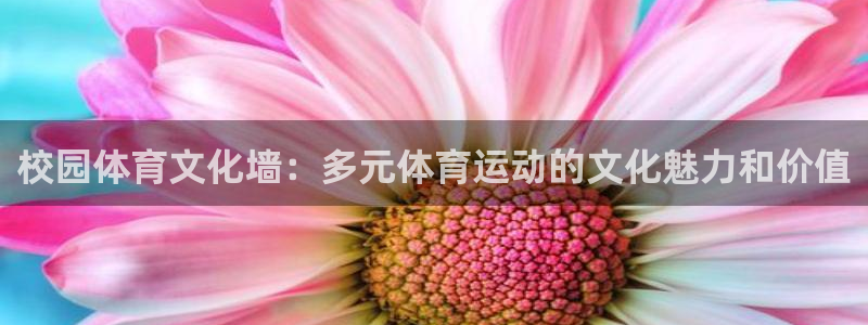 蓝鲸体育解说