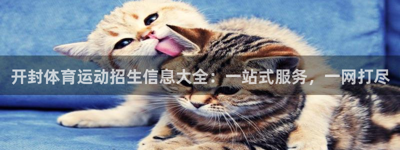 nba蓝鲸体育
