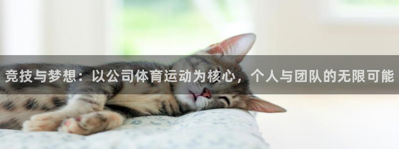 蓝鲸体育免费下载