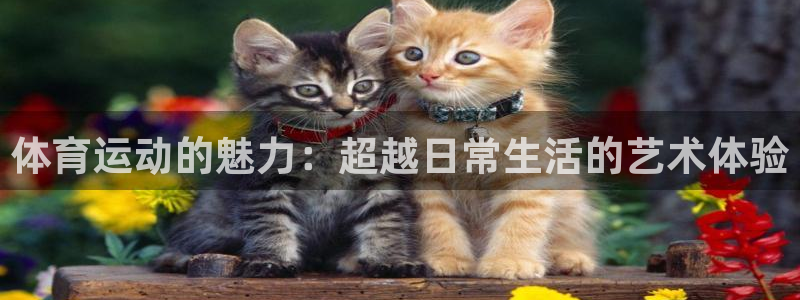 蓝鲸体育足球